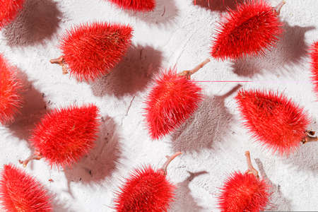 Annatto seeds, Onoto, Annatto, Bixa orellana, natural red pigment