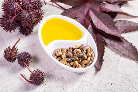 Castor oil, fruits and seeds - Ricinus communis