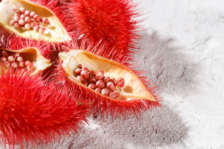 Annatto seeds, Onoto, Annatto, Bixa orellana, natural red pigmentの写真素材