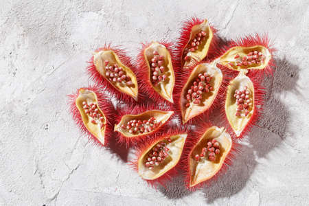 Annatto seeds, Onoto, Annatto, Bixa orellana, natural red pigmentの写真素材