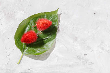 Annatto seeds, Onoto, Annatto, Bixa orellana, natural red pigment