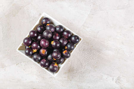 acai fruits and powder, the Amazon fruit with antioxidant powers - Euterpe oleraceaの写真素材