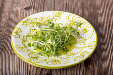 healthy arugula sprouts, in the plate on the wooden tableの写真素材