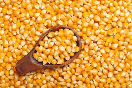 corn kernels for popcorn, in the wooden spoon, top view