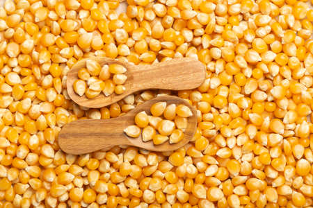corn kernels for popcorn, in the wooden spoon, top viewの写真素材