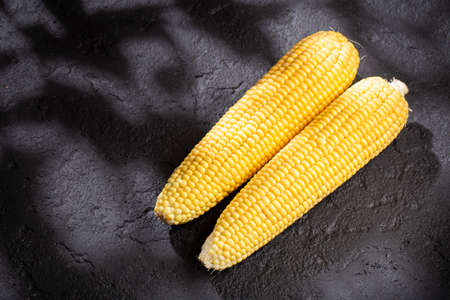 corn on the cob on the table, sweet corn.の写真素材