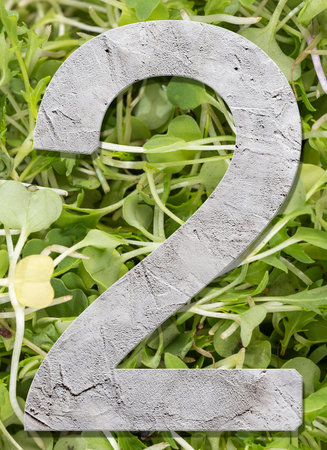 Number 2 with concrete texture, on nature backgroundの写真素材