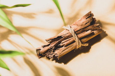Rustic coziness - cinnamon sticks on yellow background with natural shadowsの写真素材