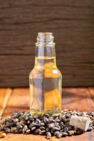 castor seeds and oil, on wooden surface, royalty freeの写真素材