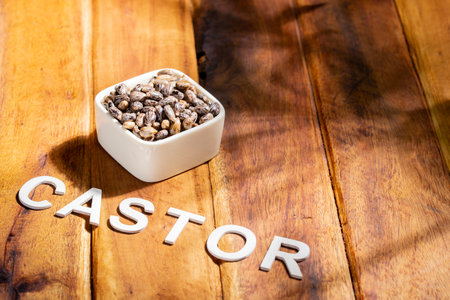 castor seeds and oil, on wooden surface, royalty freeの写真素材