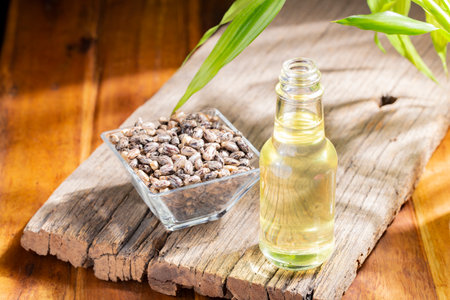castor seeds and oil, on wooden surface, royalty freeの写真素材