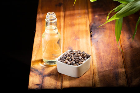 castor seeds and oil, on wooden surface, royalty freeの写真素材