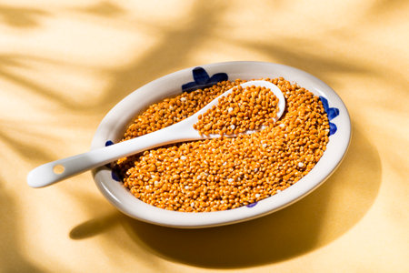 healthy grains of red millet served in a plate on yellow backgroundの写真素材