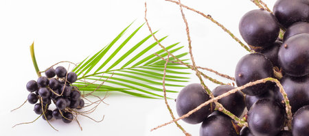 acai fruit on a white background _ (Euterpe Oleracea)の写真素材