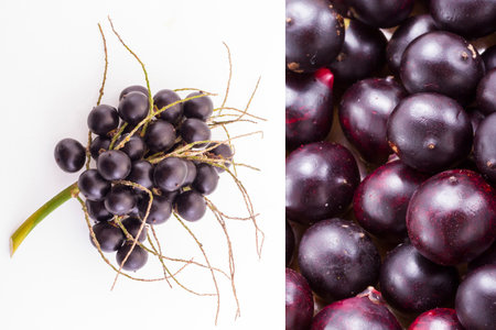 acai fruit on a white background _ (Euterpe Oleracea)の写真素材
