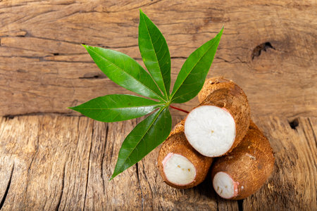 cassava pile, yucca, on a background of rustic wood (Manihot esculenta)の写真素材