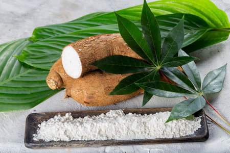 pile of cassava root and cassava flour on a gray and white textured background (Manihot esculenta)の写真素材