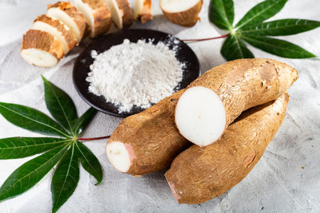 pile of cassava root and cassava flour on a gray and white textured background (Manihot esculenta)の写真素材