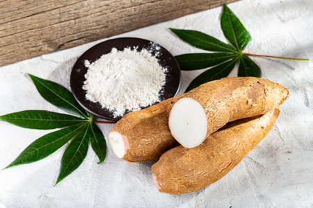 pile of cassava root and cassava flour on a gray and white textured background (Manihot esculenta)の写真素材