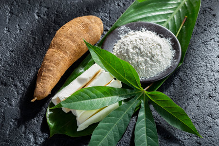 pile of cassava fruit and cassava flour on a background of rustic and dark texture (Manihot esculenta)の写真素材