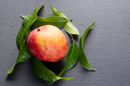 You can see in the image some ripe and fresh mangoes, with leaves from the same tree on a gray slate