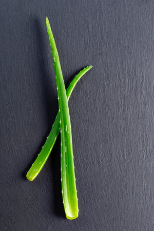 two aloe vera leaves are seen in the image on a slate background, top view