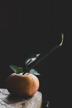 Tangerine fruit with green stem and leaves on black backgroundの写真素材