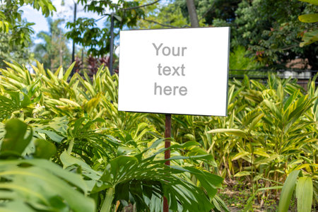 A white rectangular signboard mounted on a metal post, placed in a lush green park setting with leafy trees in the background. The sign displays a placeholder text âYour text here,â making it ideal for mockups, public message design, or customizable outdoor announcements.の写真素材