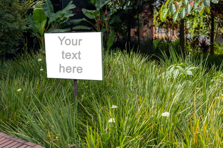 A white rectangular signboard mounted on a metal post, placed in a lush green park setting with leafy trees in the background. The sign displays a placeholder text âYour text here,â making it ideal for mockups, public message design, or customizable outdoor announcements.の写真素材
