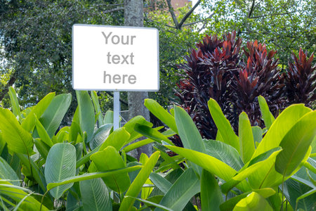 A white rectangular signboard mounted on a metal post, placed in a lush green park setting with leafy trees in the background. The sign displays a placeholder text âYour text here,âの写真素材