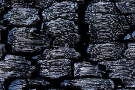 Close-Up of Charred Wood Texture After Burning
