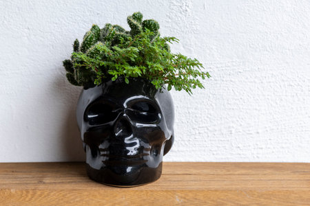 Black skull planter with cactus and green plant on wooden tableの写真素材