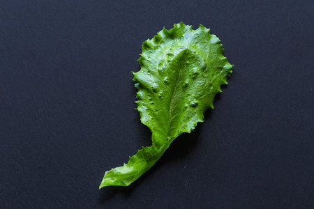 Fresh green lettuce leaves with water drops on dark backgroundの写真素材