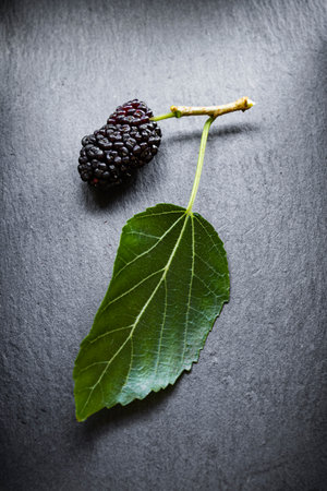 Ripe Mulberry with Green Leaf on Dark Slate Background