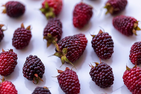 Fresh Ripe Blackberries Close Up with Natural Texture