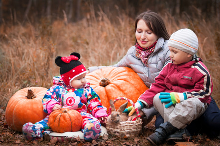 Mother with children sit near the pumpkin and pet the Bunny in the basketの写真素材