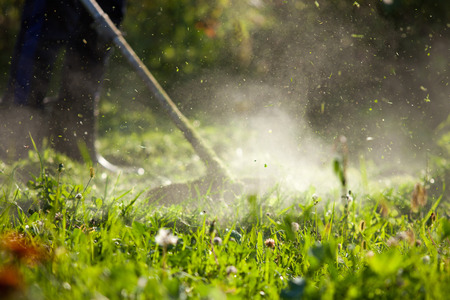 Man mowing grass on his land