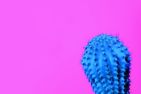 Neon. Art Gallery Fashion Design. Minimal Stillife. Trendy Bright Colorful. Concept on Pink Neon backgroundの写真素材