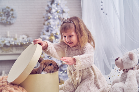 kid got a pet for Christmas. the children's room is decorated with a Christmas tree. happy child opens the gift box. delight and surprise at the surprise. in the new year dreams come true. calibrationの写真素材