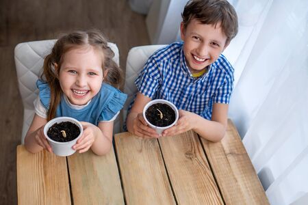 Cute boy and girl sitting at table and engaged in sowing seeds for cultivation. Children sow seeds in ground and cheerfully hold out pots. concept of growing your own vegetables. Natural gardening.の写真素材