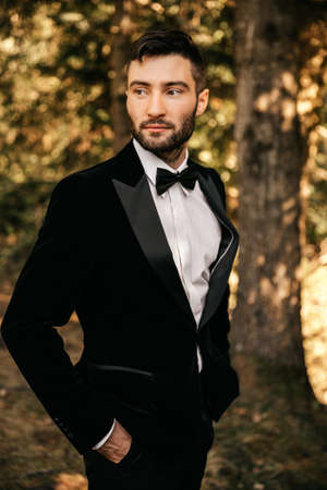 Handsome strict man in a suit with a bow tie. High quality photoの写真素材