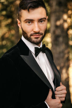 Handsome strict man in a suit with a bow tie. High quality photoの写真素材