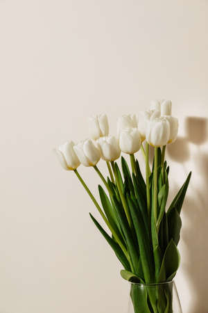 White fresh beautiful tulips for women's holiday on march 8, isolated on a light background, free space, bouquet of spring flowers. High quality photoの写真素材