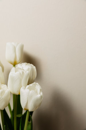 Bouquet of white fresh tulips, beautiful spring flowers, free space, women's holiday on March 8. High quality photoの写真素材