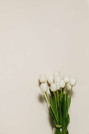 Bouquet of white fresh tulips, beautiful spring flowers, free space, fresh bouquet isolated on background. High quality photoの写真素材