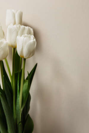 Bouquet of white fresh tulips, beautiful spring flowers, free space, women's holiday on March 8. High quality photoの写真素材