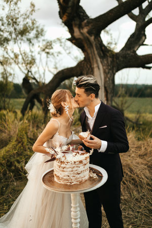 Newlyweds kiss near the wedding cake in nature. high quality photoの写真素材