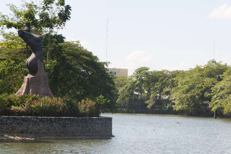 lagoon of illusions,tomas garrido canabal park,Villahermosa,Tabasco,Mexicoの写真素材