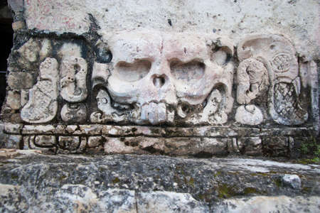 Archaeological zone of Palenqueの写真素材