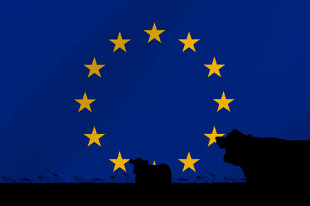 Consumption and production of cattle in countries with the flag of European Union.の写真素材